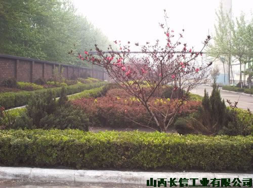 鐢熸鐩庣劧鐨勭磪鑺辩稜鑽�