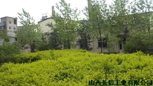 寤犲崁(q奴)涓€瑙�